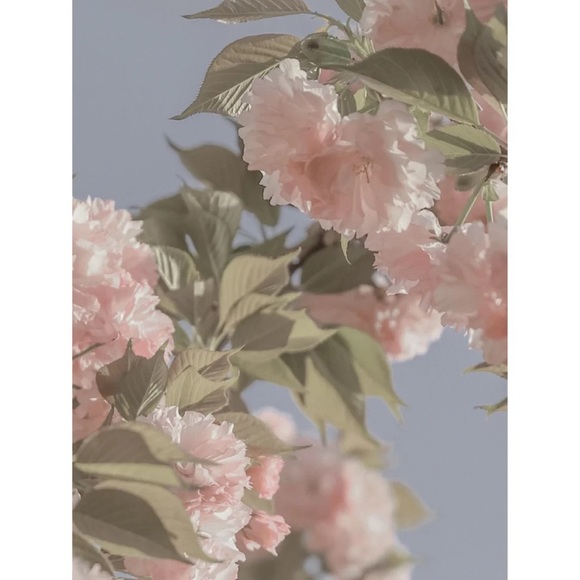 Meet your Posher, Jane - Picture 1 of 1